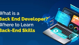 What is Back End Developer? Where to Learn Back-End Skills? What is Back End Developer? Where to Learn Back-End Skills?