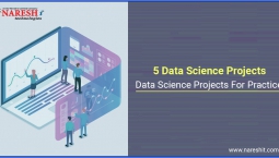 5 Data Science Projects | Data Science Projects For Practice – NareshIT 5 Data Science Projects | Data Science Projects For Practice – NareshIT