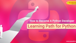 How to Become A Python Developer – NareshIT How to Become A Python Developer – NareshIT