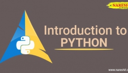 Introduction to Python – NareshIT Introduction to Python – NareshIT