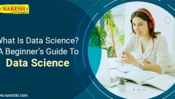 What is Data Science? A Beginner’s Guide To Data Science – NareshIT What is Data Science? A Beginner’s Guide To Data Science – NareshIT