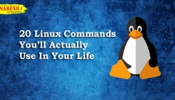 20 Linux Commands You will Actually Use In Your Life – NareshIT 20 Linux Commands You will Actually Use In Your Life – NareshIT
