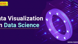 Data Visualization in Data Science – NareshIT Data Visualization in Data Science – NareshIT