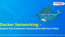 Docker Networking | Explore How Containers Communicate With Each Other – NareshIT Docker Networking | Explore How Containers Communicate With Each Other – NareshIT