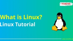 What is Linux? Linux Tutorial – NareshIT What is Linux? Linux Tutorial – NareshIT