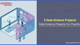 5 Data Science Projects | Data Science Projects For Practice – NareshIT 5 Data Science Projects | Data Science Projects For Practice – NareshIT