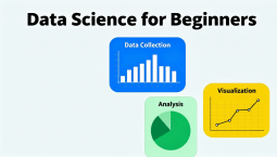 Data Science for Beginners