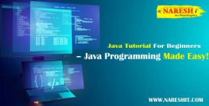 Java Tutorial For Beginners | Java Programming Made Easy - NareshIT